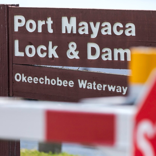 stuart slime tour port mayaca lock sign square 1000 1621 In: John Moran’s “Florida’s Summer of Slime: Stuart and Lake Okeechobee” | Our Santa Fe River, Inc. (OSFR) | Protecting the Santa Fe River